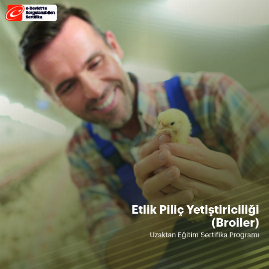 Etlik Piliç Yetiştiriciliği (Broiler) Sertifikası