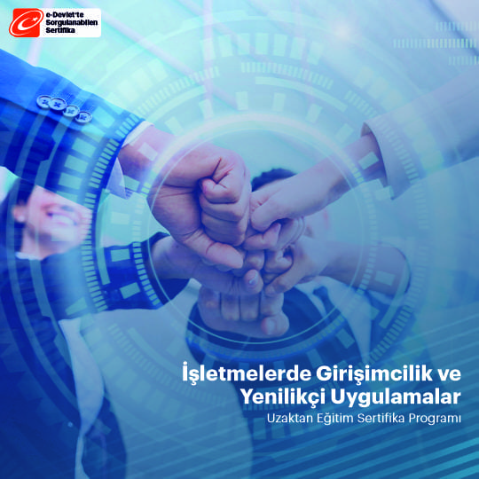 İşletmelerde Girişimcilik ve Yenilikçi Uygulamalar Eğitimi