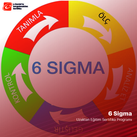 6 SİGMA Sertifikalı Eğitim Programı