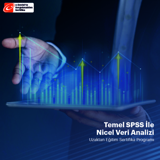 Temel SPSS ile Nicel Veri Analizi