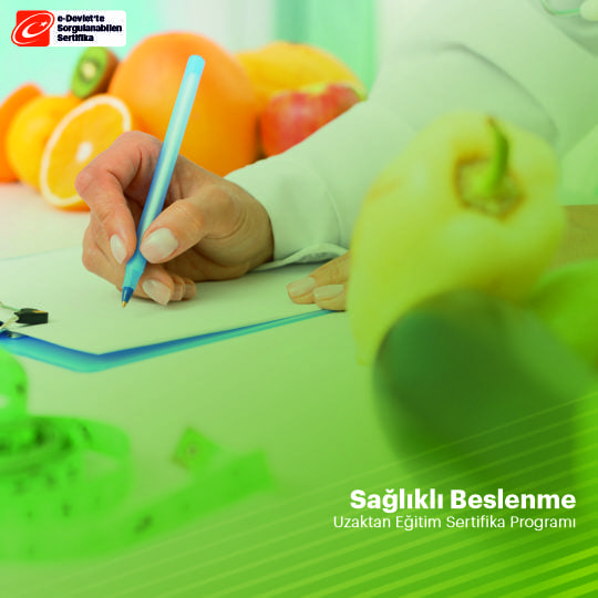 Sağlıklı Beslenme Eğitimi Sertifikası