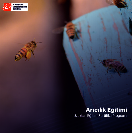 Arıcılık Sertifika Programı